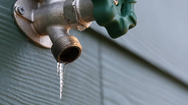 Best Leak Detection Services  in Choctaw Lake, OH